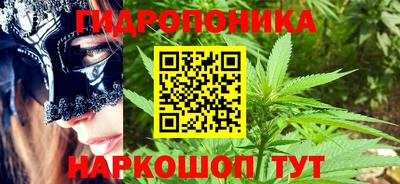 эйфоретик Бийск