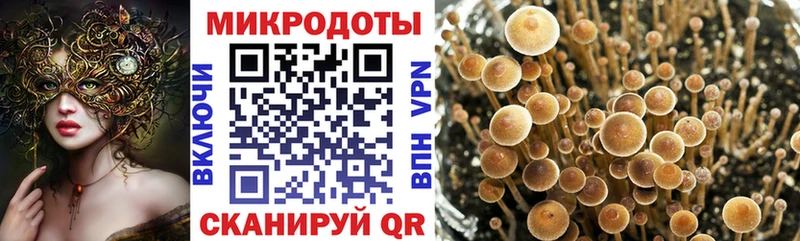 где купить   Шадринск  нарко площадка какой сайт  Псилоцибиновые грибы GOLDEN TEACHER 