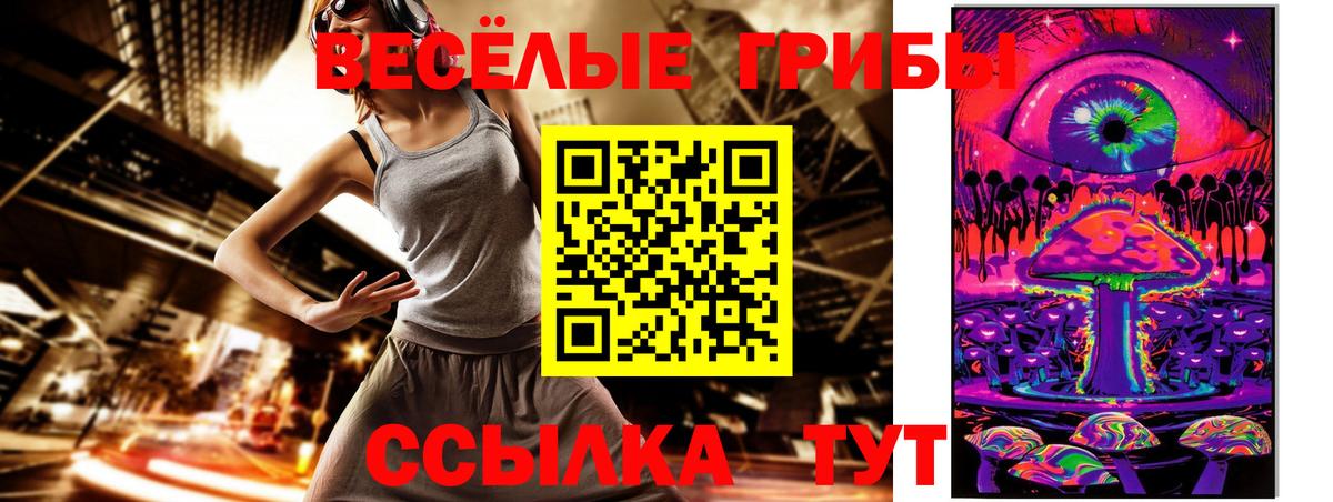 где можно купить наркотик  Галлюциногенные грибы Magic Shrooms  Вход с VPN  Шадринск 