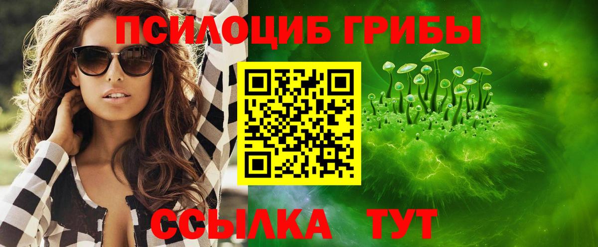 Галлюциногенные грибы Psilocybe Шадринск
