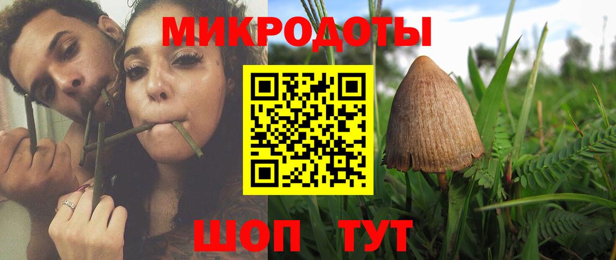 Галлюциногенные грибы MAGIC MUSHROOMS Шадринск