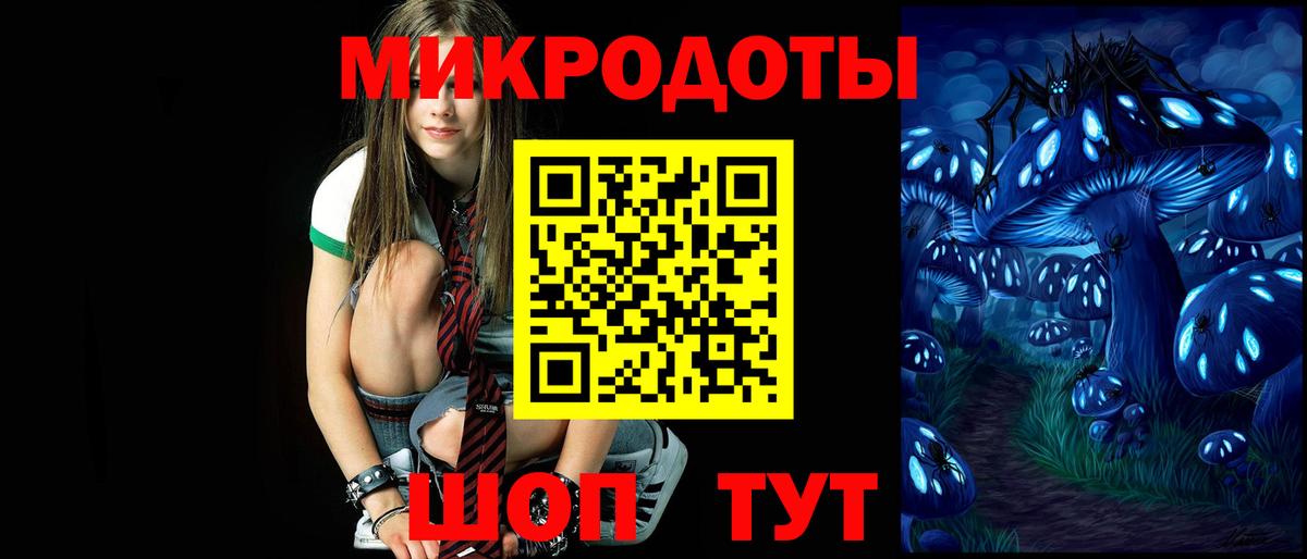 Псилоцибиновые грибы Psilocybe  Шадринск 