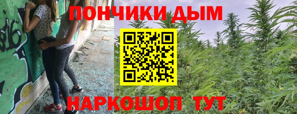 МАРИХУАНА MAZAR  Шадринск  МАРИХУАНА марихуана  МАРИХУАНА SATIVA & INDICA 